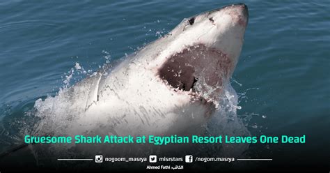 Gruesome Shark Attack At Egyptian Resort Leaves One Dead Nogoom Masrya