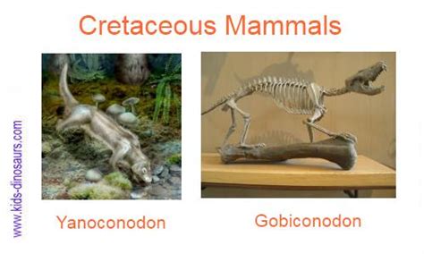 Calculate how long did the tertiary last? Cretaceous Animals - Facts for Kids