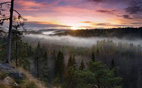 Nature Landscape Sunrise Forest Mist Fall Sky Clouds Trees Finland