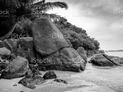 Black And White Image Of Big Rocks On The Beach At Tropical Island