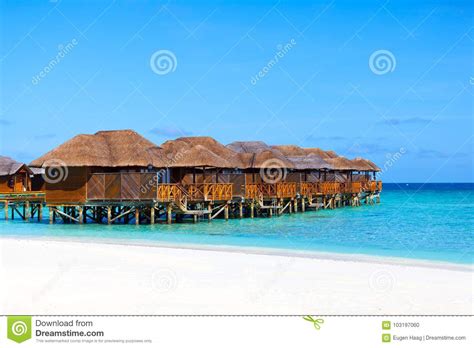 Maldives Water Bungalows On Beach Stock Photo Image Of Nature