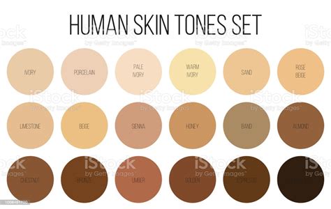 Creative Vector Illustration Of Human Skin Tone Color