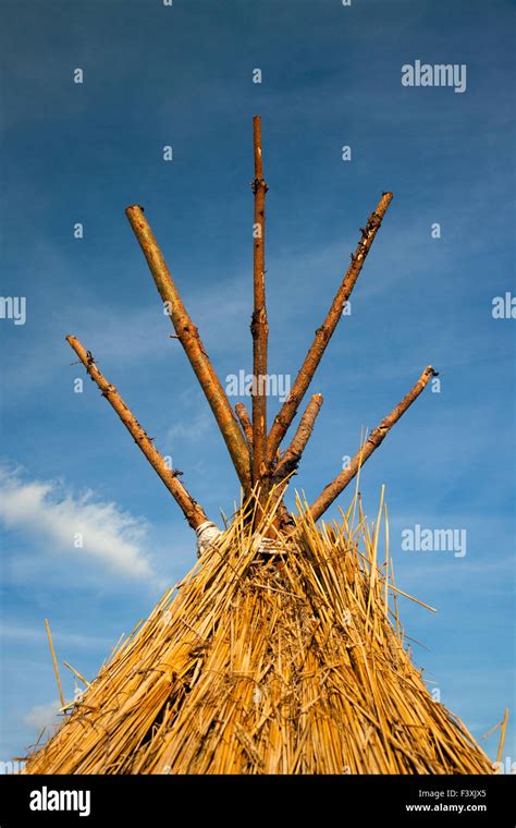 Straw Thatched High Resolution Stock Photography And Images Alamy