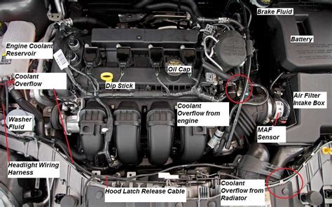 Understanding The 2013 Ford Focus Exhaust System Diagram And Components
