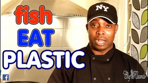 Sea Food Fish Eating Plastic Be Careful Of What U Eat Now Recipes