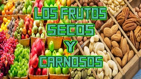 Los Frutos Secos Y Carnosos Básico Youtube