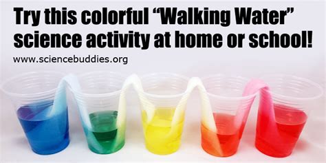 Colorful Walking Water Science Activity Science Buddies Blog
