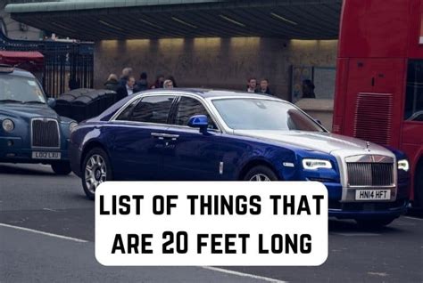 9 Common Things That Are 20 Feet Big Measuringly