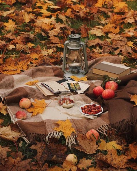 Lidia On Instagram “autumn Picnics 🍁 In The Evening Fields Among