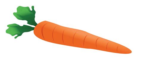 Carrot Clipart Single Vegetable Pencil And In Color Carrot Png Clipartix