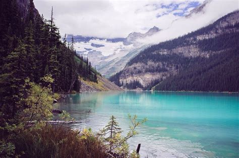Azure Lake Natural Landmarks Beautiful Places Banff Canada
