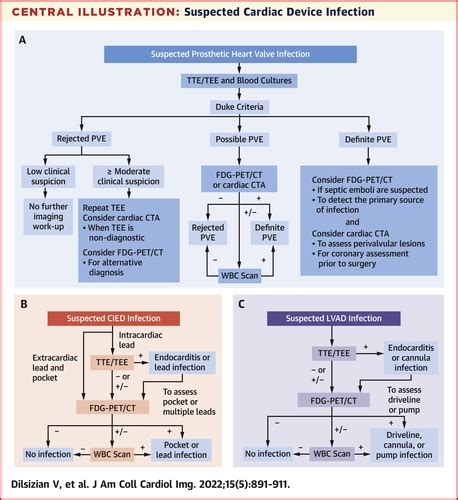 Best Practices For Imaging Cardiac Devicerelated Infections And