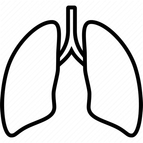 Anatomy Body Lung Lungs Organ Icon