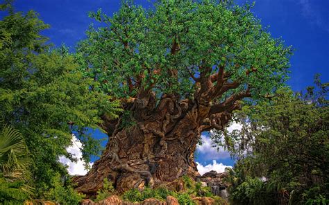 50 Disney Tree Of Life Wallpaper On Wallpapersafari