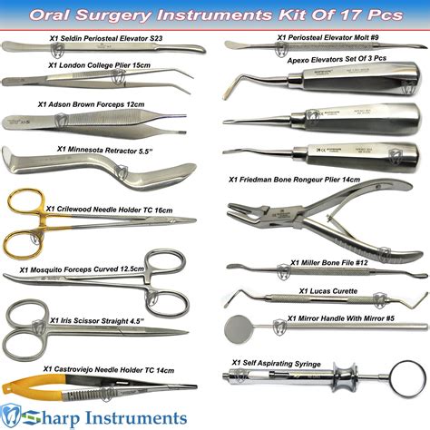 17 Pcs Oral Surgery Instruments Kit Elevator 77r Bone Rongeur Molt