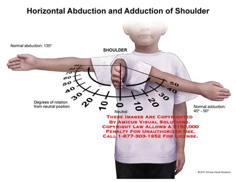 Horizontal Abduction And Adduction Of Shoulder