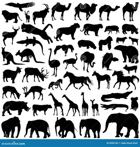 Wild Animals Silhouettes Stock Vector Illustration Of Monkey 8506782