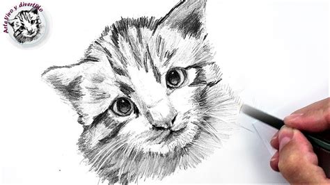 Gatos Para Dibujar A L Piz Dibujos Faciles