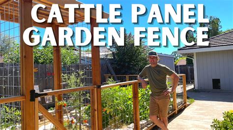 Diy Cattle Panel Garden Fence How To Build A Sturdy And Beautiful