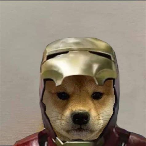 Pin By Connie Uchiha On Dog Xhido Dog Icon Dog Memes Dog Images