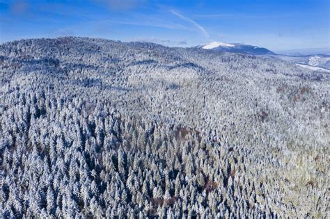Aerial View Snow Covered Forest Wallpapers Wallpaper Cave