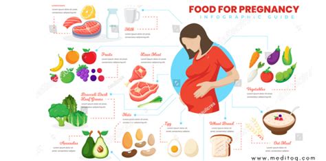 Pregnancy Food Chart Meditoq