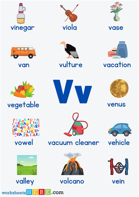 Letter V Vocabulary With Pictures Alphabet V Words Pdf Worksheet For