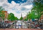 7 lugares que tienes que visitar en los Países Bajos - Mi Viaje