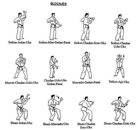 Collection 101 Images Karate Punches Names With Pictures Superb