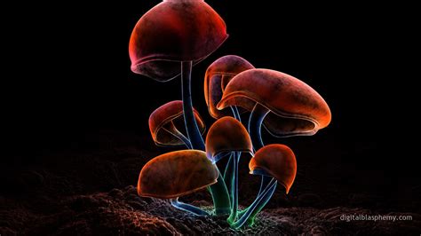 Neon Mushroom Wallpaper 56 Images