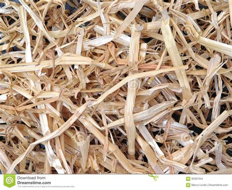 Straw Texture Stock Photo Image Of Wallpaper Nature 92307444