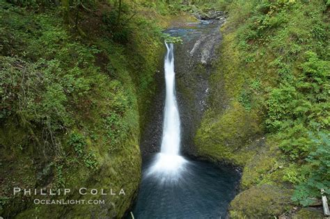 Oneonta Falls Columbia River Gorge National Scenic Area Oregon