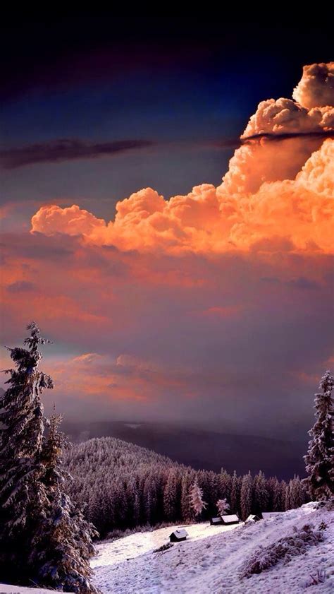 Orange Winter Sunset With The View Of Lots Of Snow Tall Pine Trees On