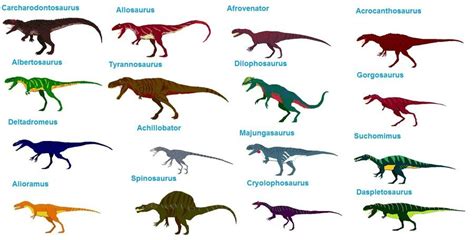 Carnivorous Dinosaurs Clipart 20 Free Cliparts Download Images On