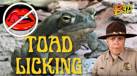 Dont Lick The Toads Youtube