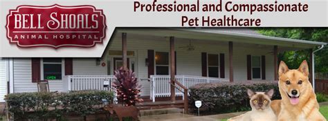 Bell Shoals Animal Hospital Home Facebook