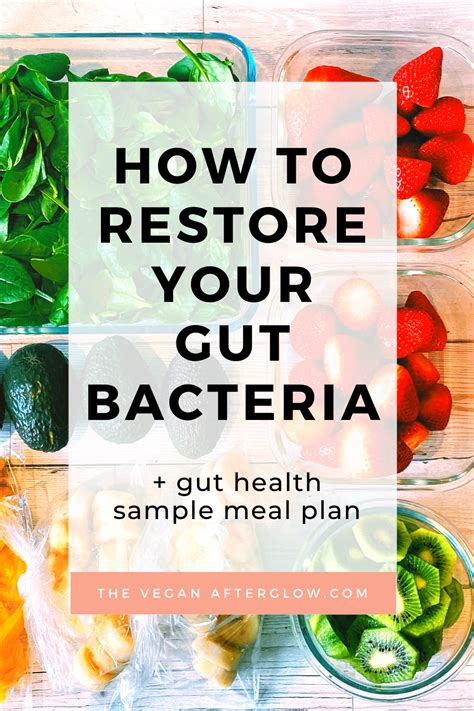 How To Restore Your Gut Bacteria The Vegan Afterglow Healthy Gut