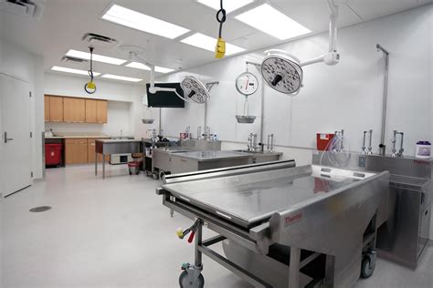 Autopsy Suite Gallery Autopsy Services College Of Medicine