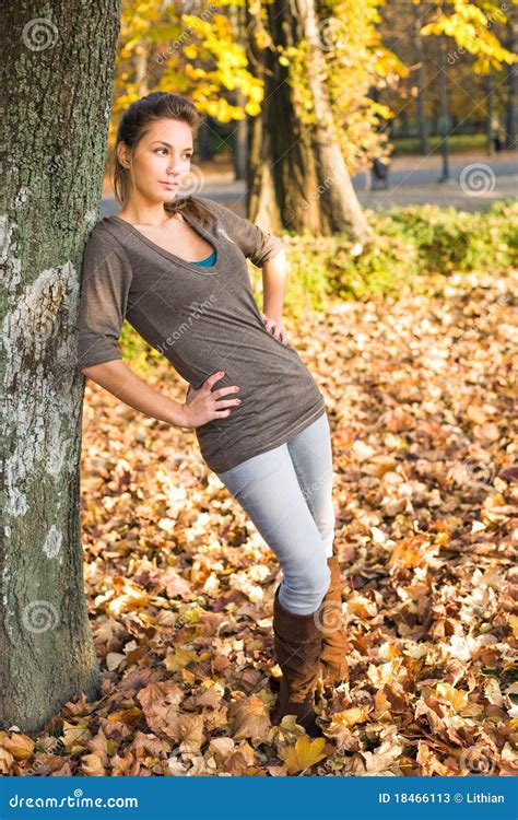 Young Brunette Hottie Posing In The Park Stock Image Image Of Female