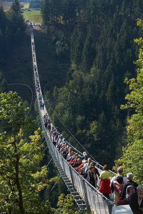 Geierlay Rope Suspension Bridge Opens In Western Germany Daily Mail