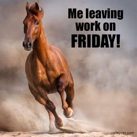 Happy Friday Find Horse And Rider Magazine Facebook