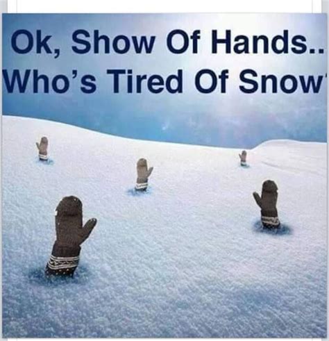 Mine Is Up Show Of Hands Weather Memes Snow Humor
