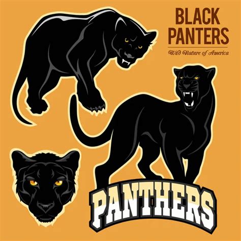 ᐈ The Panthers Stock Pictures Royalty Free Panthers Cliparts