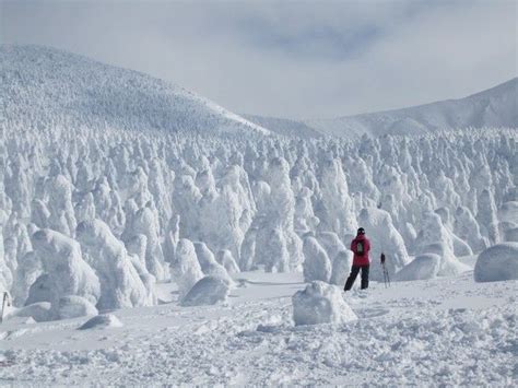 Snow Monsters At The Zao Onsen Resort In Northern Japan