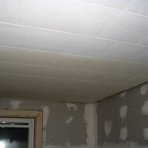 How to paint a ceiling. Can You Paint Drop Ceiling Tiles? | Ceiling tiles diy ...