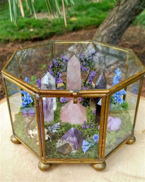 Terrarium Healing Crystals Terrarium Kit Glass Terrarium