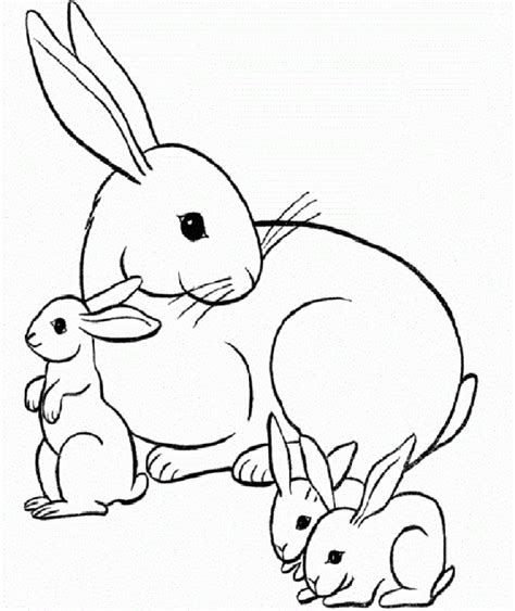 Imagenes De Un Conejo Para Dibujar Conejos Para Colorear