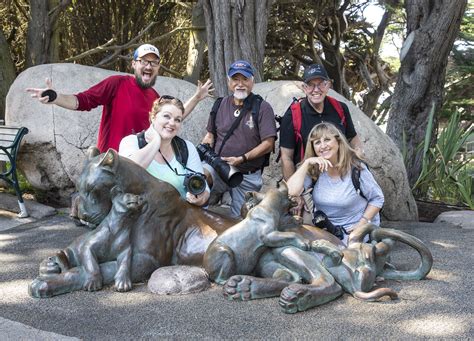 San Francisco Zoo Wildlife Photography Workshop September 10th 2017