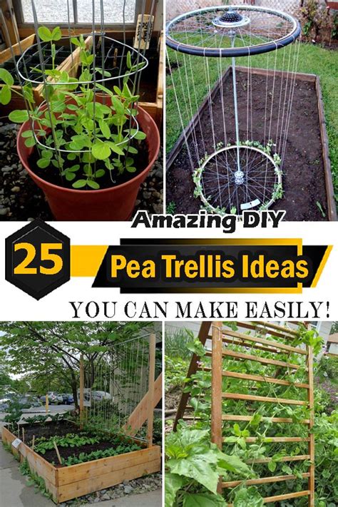 25 Amazing Diy Pea Trellis Ideas How To Make A Trellis For Peas In