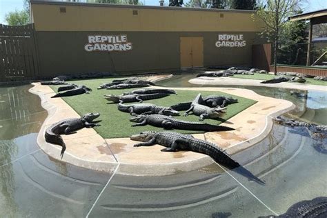 South Dakota Is Home To The Largest Reptile Zoo In The World